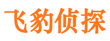 江川寻人公司